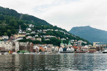 Bergen: Guidet minibusstur med fotostopp og Bryggen-rundtur