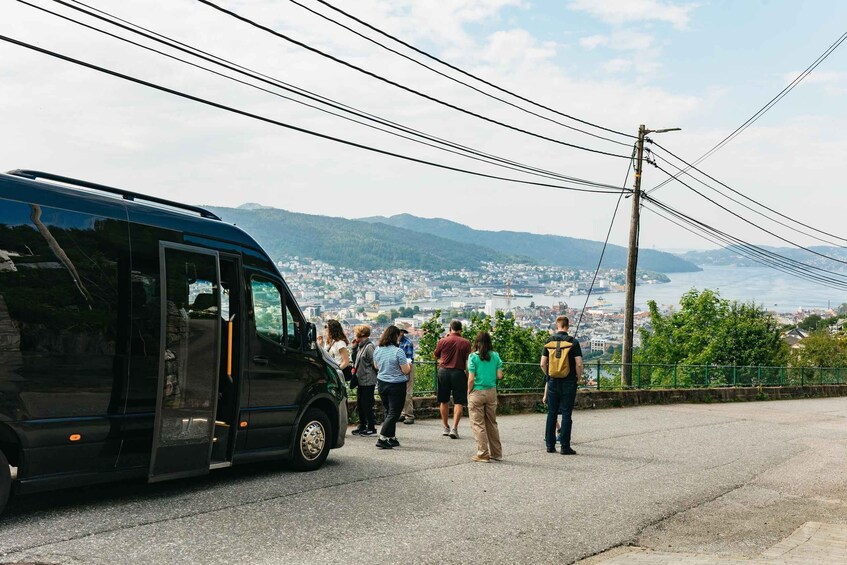 Picture 10 for Activity Bergen: Guided Minibus Tour with Photo Stops & Bryggen Tour