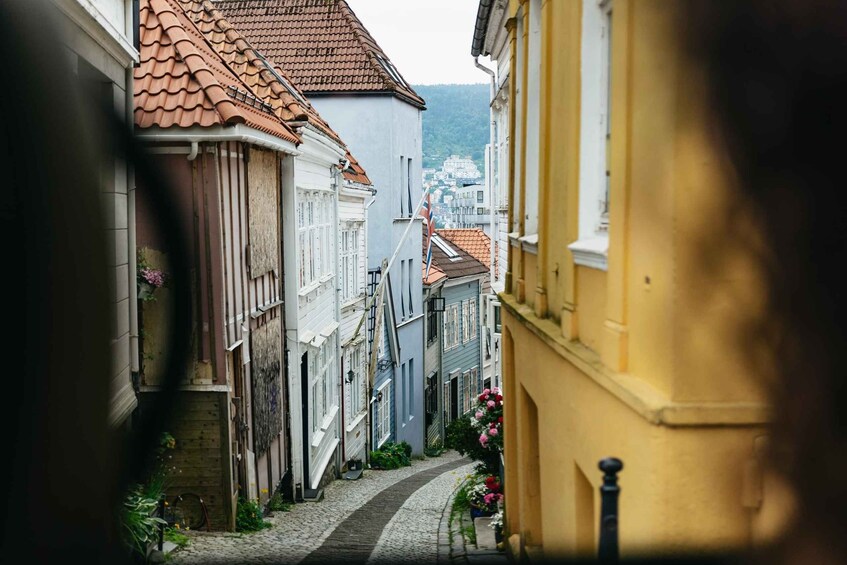 Picture 6 for Activity Bergen: Guided Minibus Tour with Photo Stops & Bryggen Tour