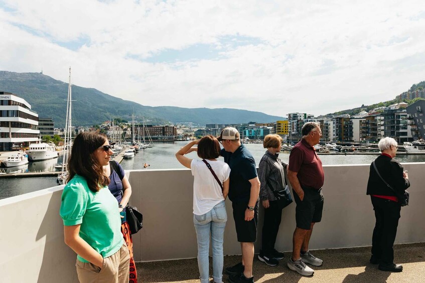 Picture 9 for Activity Bergen: Guided Minibus Tour with Photo Stops & Bryggen Tour