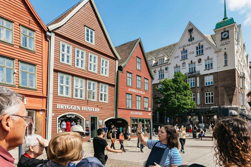 Picture 2 for Activity Bergen: Guided Minibus Tour with Photo Stops & Bryggen Tour