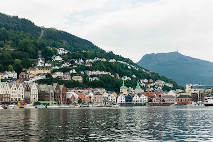 Bergen: Minibus Tour met gids met fotostops & Bryggen Tour