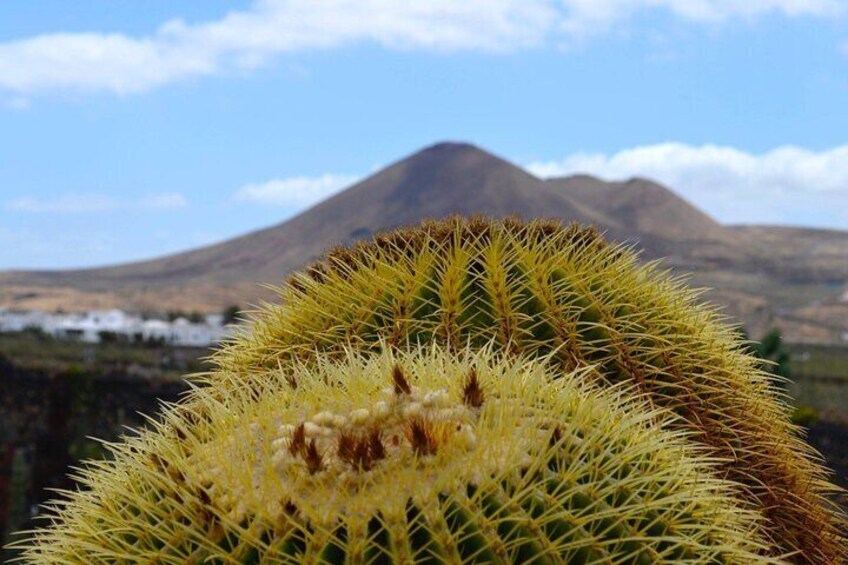 Customized Private Tours of Lanzarote island 