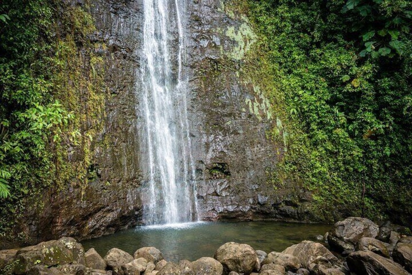 Waikiki Electric Bike Private Tour - Manoa Falls Bike and Hike