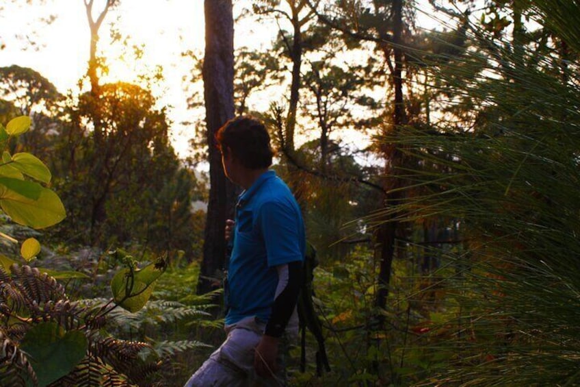 Night walk with campfire through the Valle de Bravo Forests