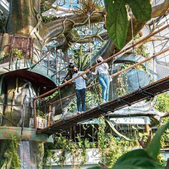 Luxurious Tranquility: The Green Planet Dubai with Private Transfers