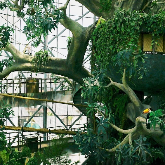 Luxurious Tranquility: The Green Planet Dubai with Private Transfers