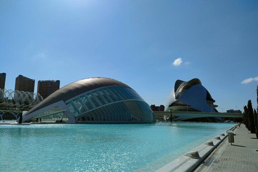 City of Arts and Sciences Bike Tour