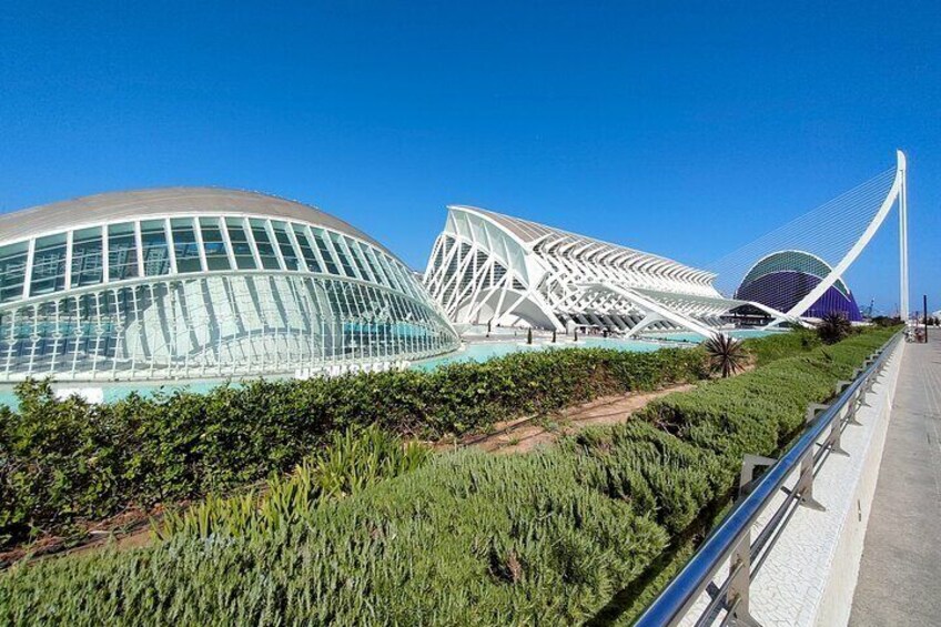 City of Arts and Sciences Bike Tour