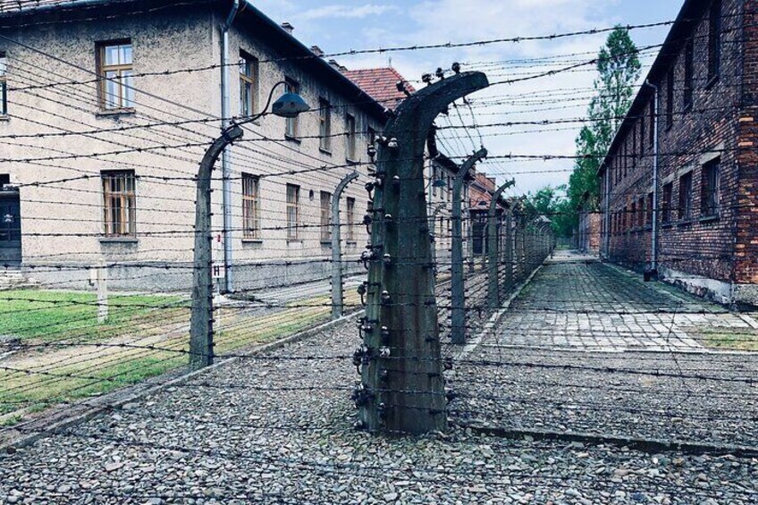 Auschwitz-Birkenau Guided Tour with Private Transport from Krakow