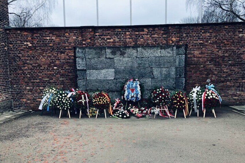 Auschwitz-Birkenau Guided Tour with Private Transport from Krakow