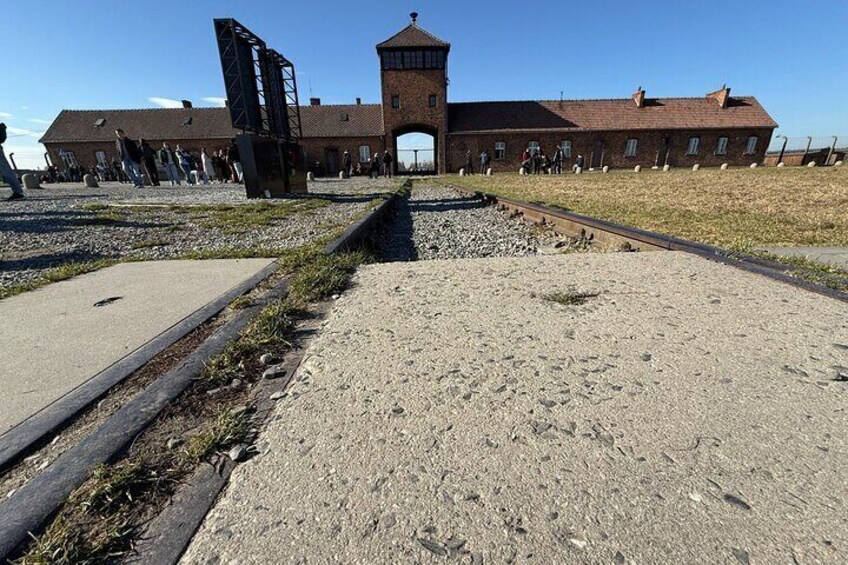 Auschwitz-Birkenau Guided Tour with Private Transport from Krakow