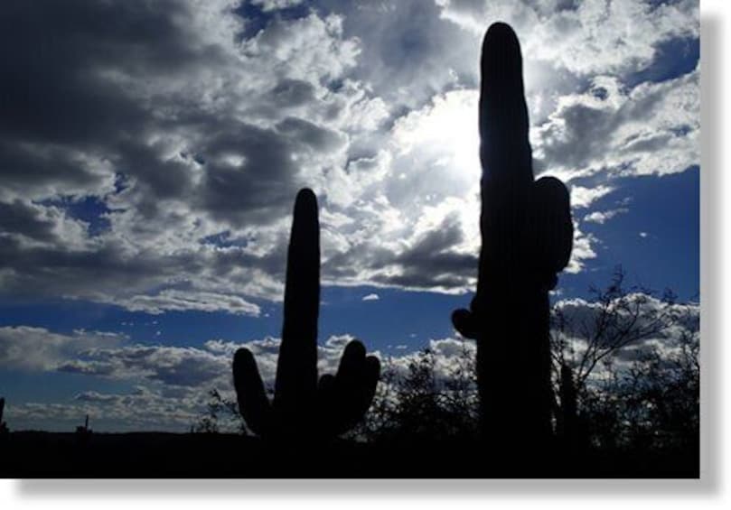 Picture 1 for Activity Tucson: 3-Hour Urban Adventure Quest Scavenger Hunt