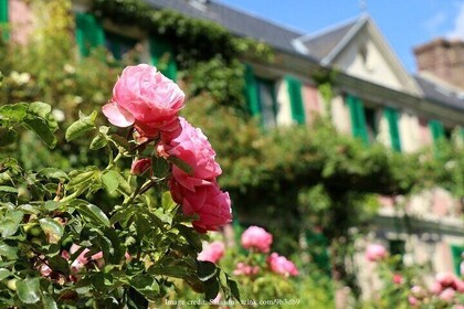 Visit Claude Monet's House: Giverny Private Day Trip from Paris