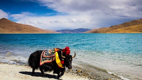 Von Kathmandu aus: Mehrtägige Tibet Highlights Reise