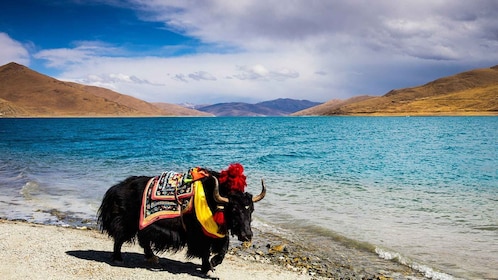 Vanuit Kathmandu: Meerdaagse Tibet Hoogtepunten Reis