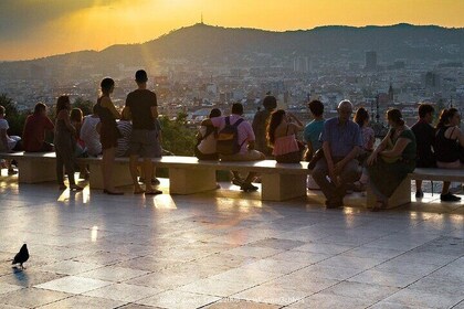 Barcelona from Above: Private Driving Tour of the City’s Best Views