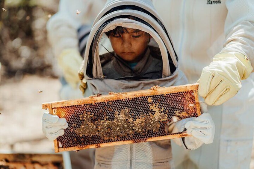 Aruba´s Bee Haven Private Adventure