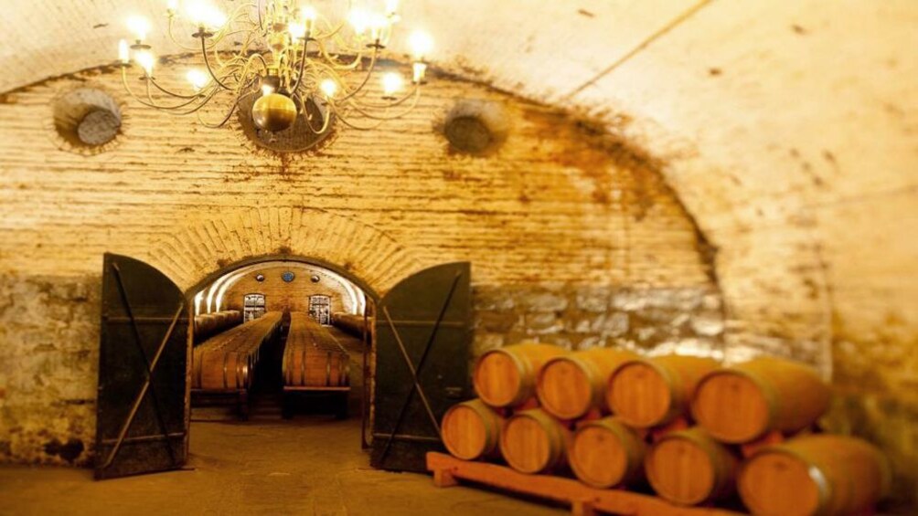 Barrels of wine in a cellar