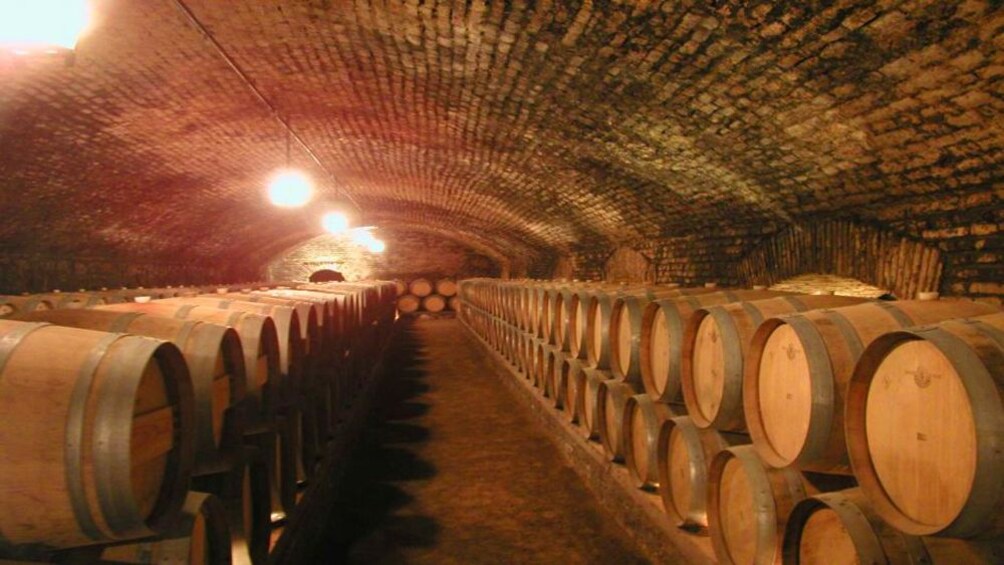 Barrels of wine in a cellar