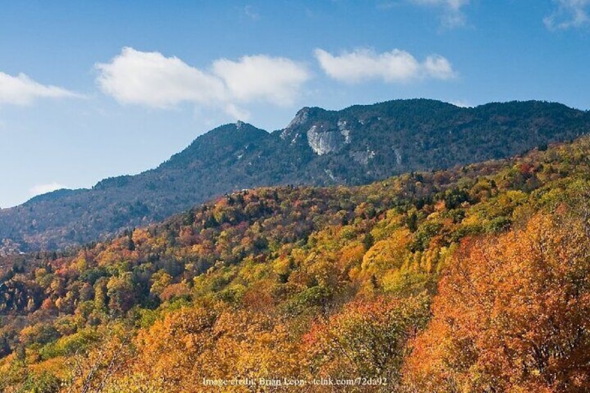 Downtown Asheville & Biltmore Village: Private Full-Day Tour