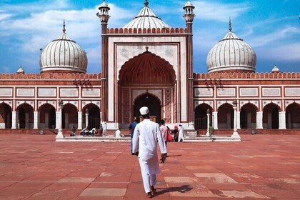 Customised Full Day Tour of Old and New Delhi