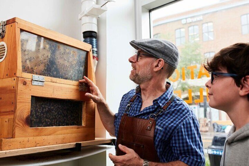 Guided tour « from the bee to the bottle » with tasting - English