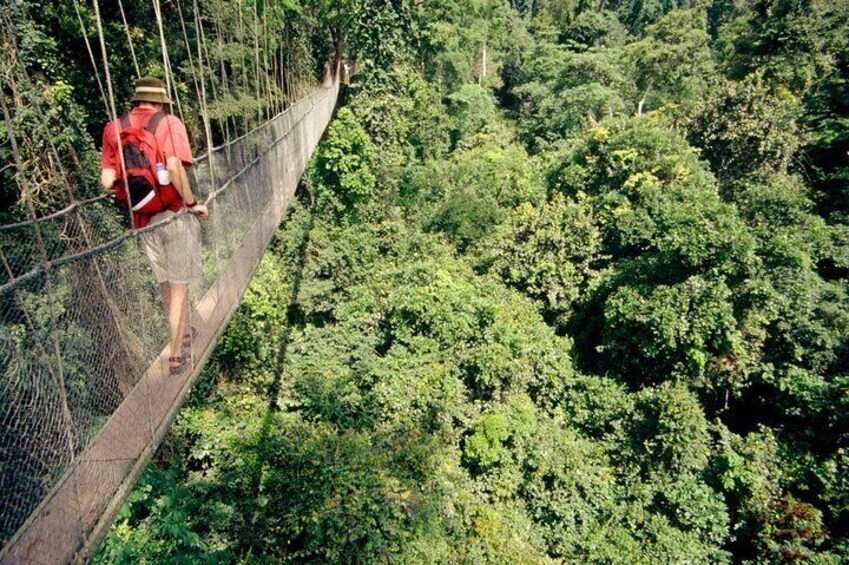 spectular views of nature at kakum
