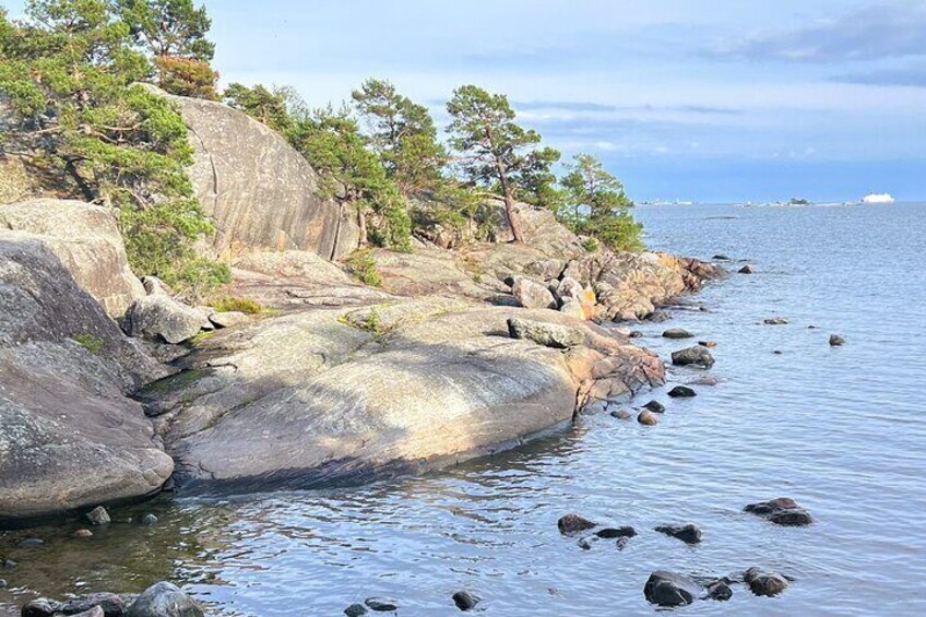 Helsinki Archipelago Forest Bathing (shinrin-yoku) Experience