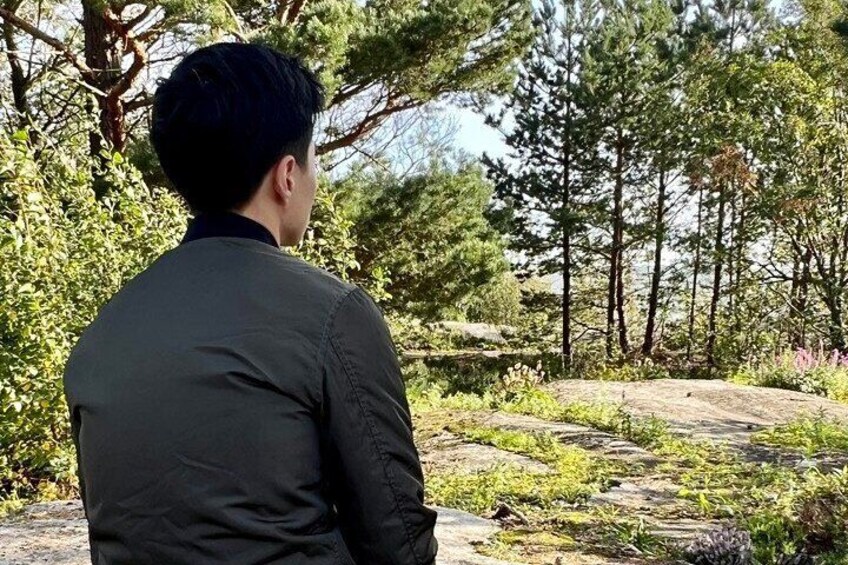 Helsinki Archipelago Forest Bathing (shinrin-yoku) Experience