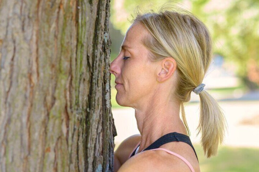 Helsinki Archipelago Forest Bathing (shinrin-yoku) Experience