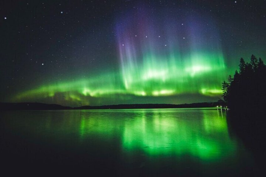 Northern Lights Tour: Guaranteed Viewing & Unlimited Mileage