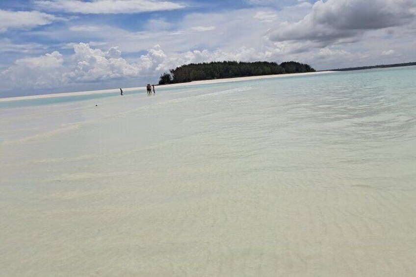 Mnemba Snorkeling, Dolphin and Baraka Natural Aquarium