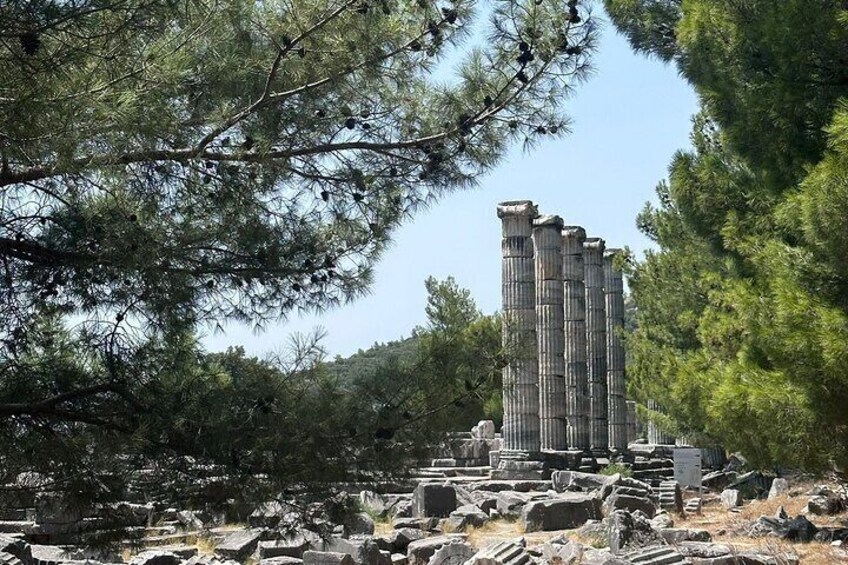 5 Hours Priene-Miletos-Didyma Customisable Private Tour