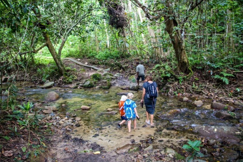 Rainforest waterfall, Dunes, Village Tour with kava ceremony