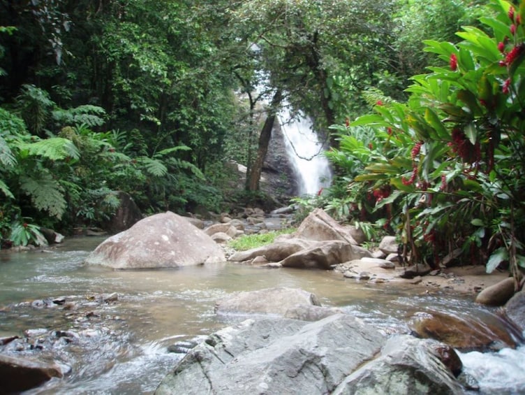 Best of Coral coast Sigatoka Hiking