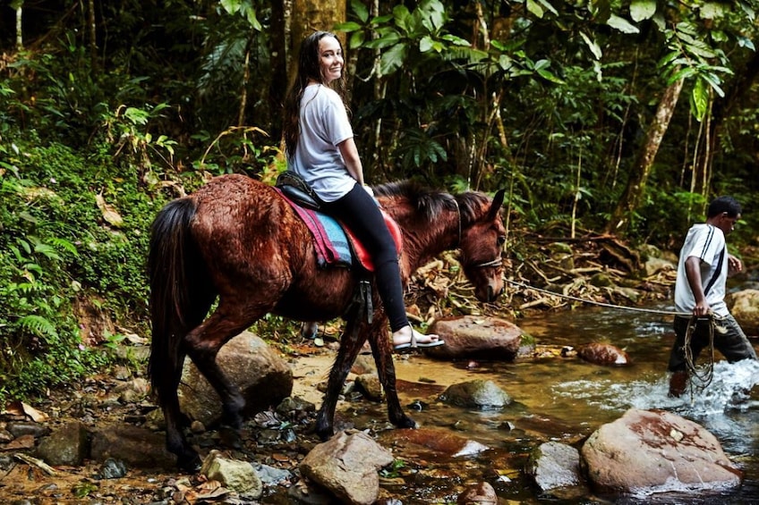 Best of Coral coast Sigatoka Hiking