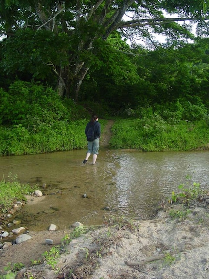 Rainforest waterfall, Dunes, Village Tour with kava ceremony