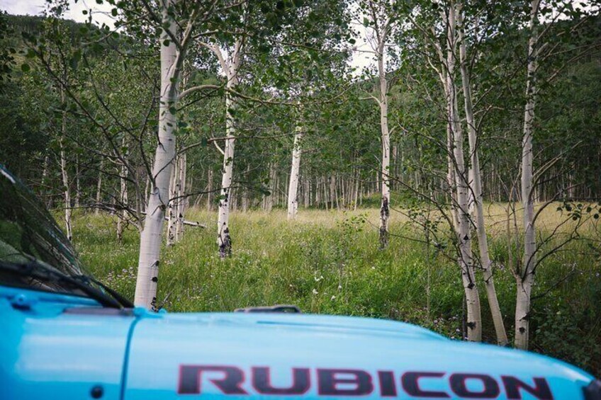YOU-DRIVE Jeep Experience in Vail