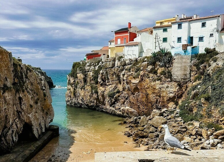 Picture 9 for Activity Tour: Peniche + Museum of Political Prison + Tasting Offer