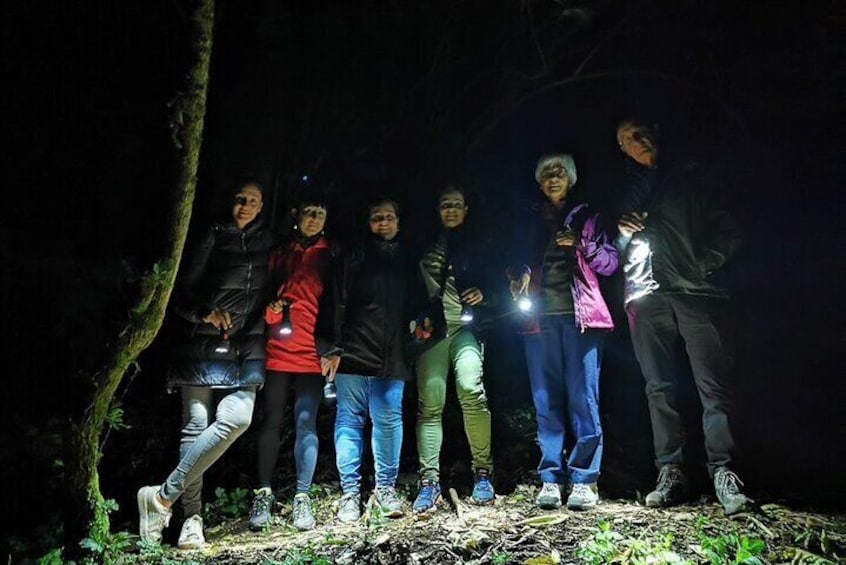 Night Walk in the Monteverde Cloud Forest.