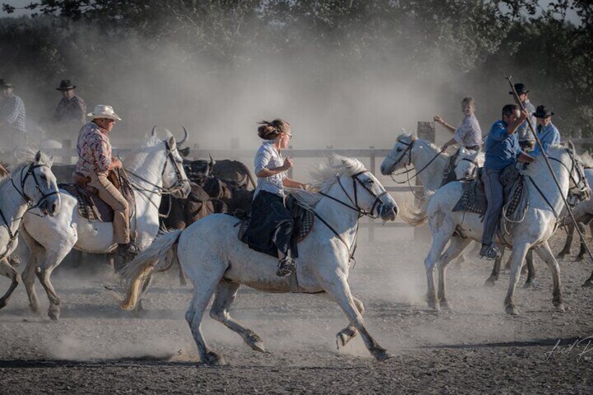 Visit and Discovery in the Heart of the Camargue