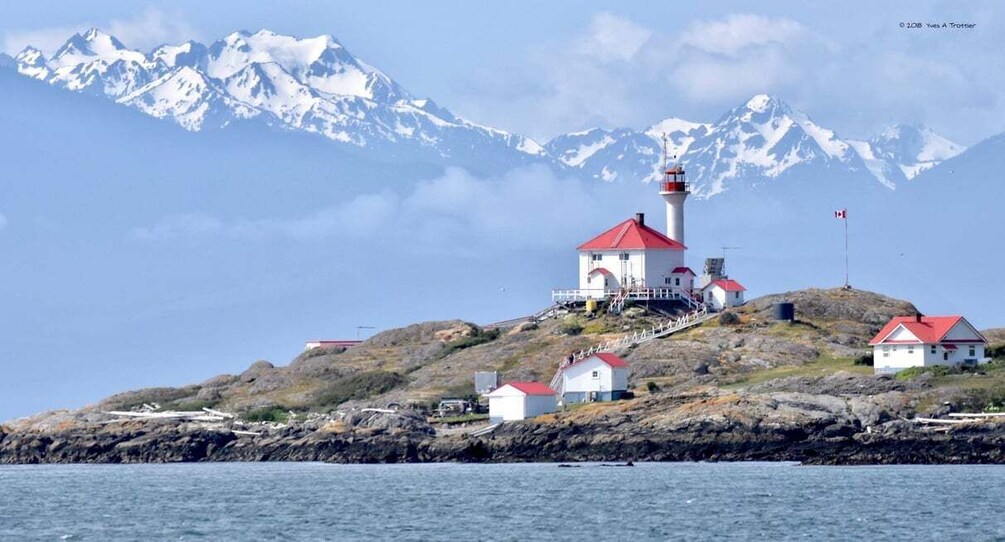 Picture 8 for Activity From Victoria: Whale Watching Tour by Zodiac Boat