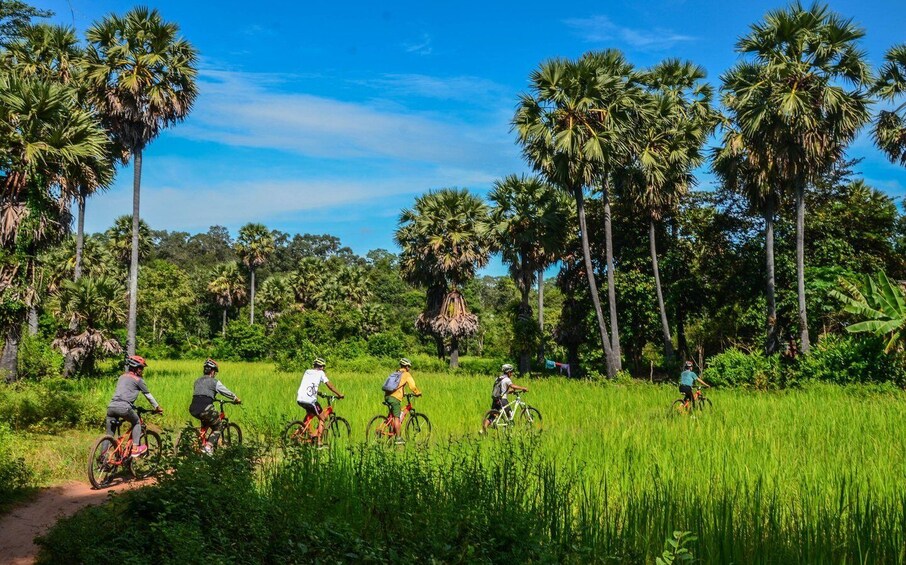 Picture 8 for Activity Private Angkor Wat Bike Tour