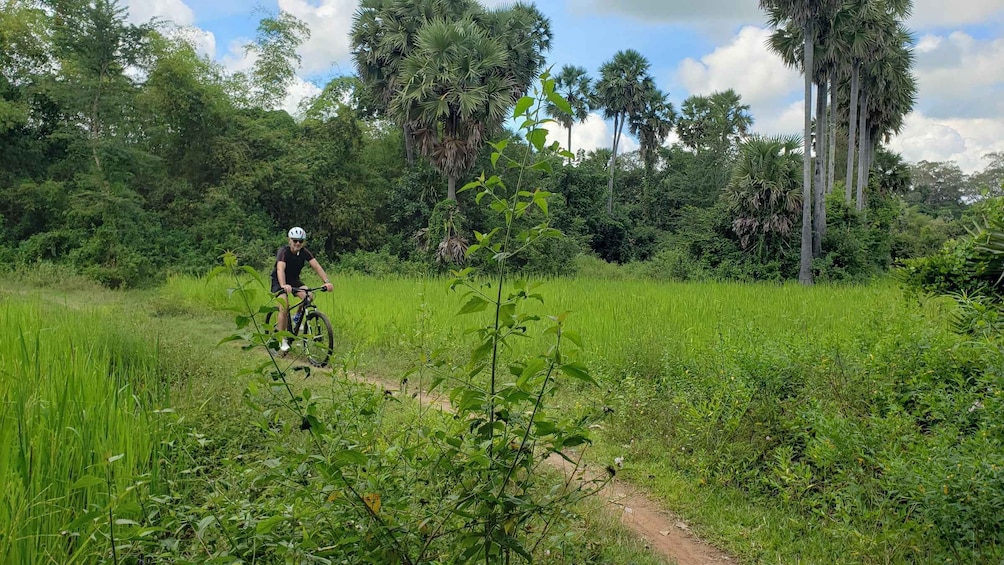 Picture 11 for Activity Private Angkor Wat Bike Tour