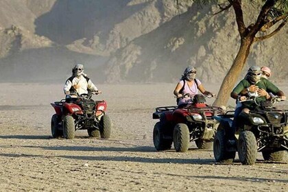 Quad with Camel Ride & Bedouin village From Marsa Alam