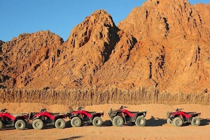 Quad with Camel Ride & Bedouin village From Marsa Alam