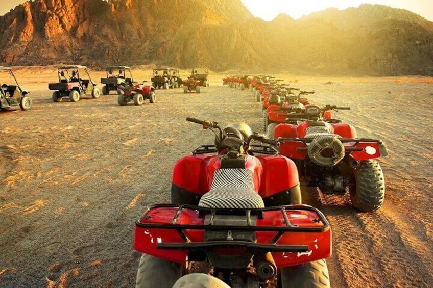 3 Hours Quad with Camel Ride From Marsa Alam