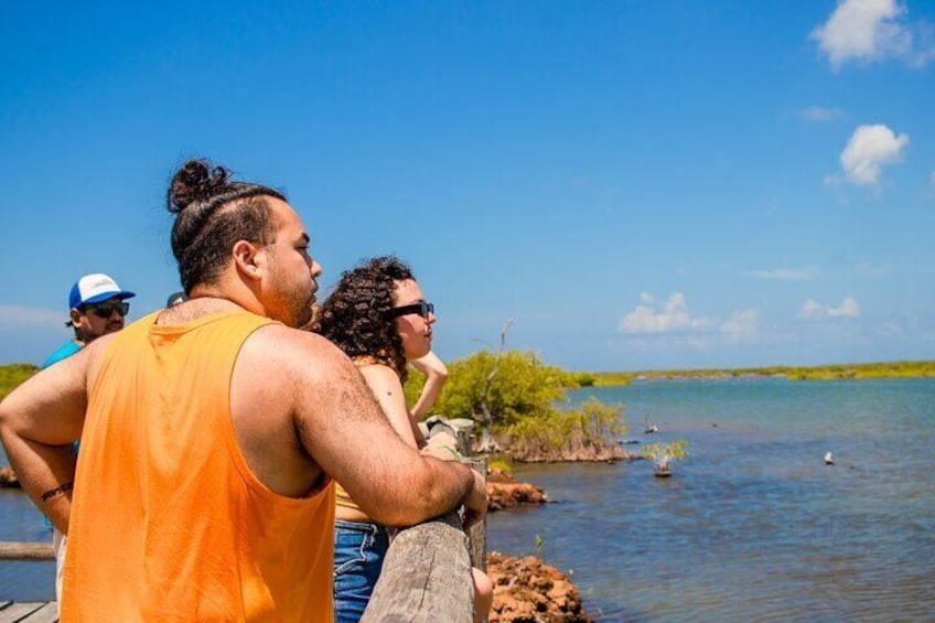 Private Buggy Tour and Punta Sur Park: All-Inclusive