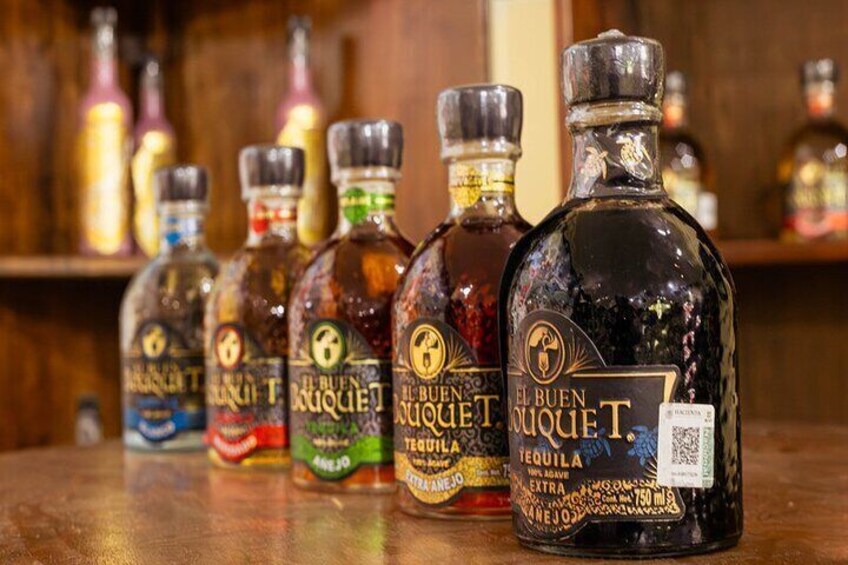 Tequila Tasting
